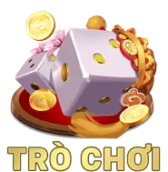 Cam kết Tuân thủ Quy định